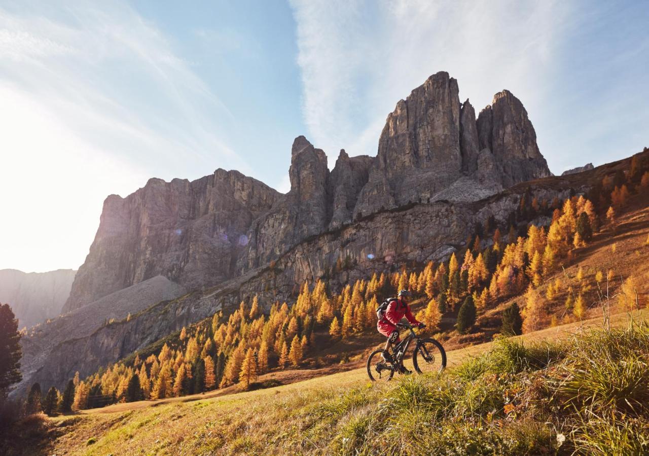 Chalet Elisabeth Dolomites Alpin & Charme 셀바디발가르디나 외부 사진