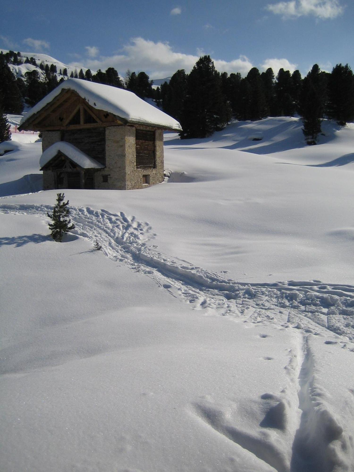Chalet Elisabeth Dolomites Alpin & Charme 셀바디발가르디나 외부 사진