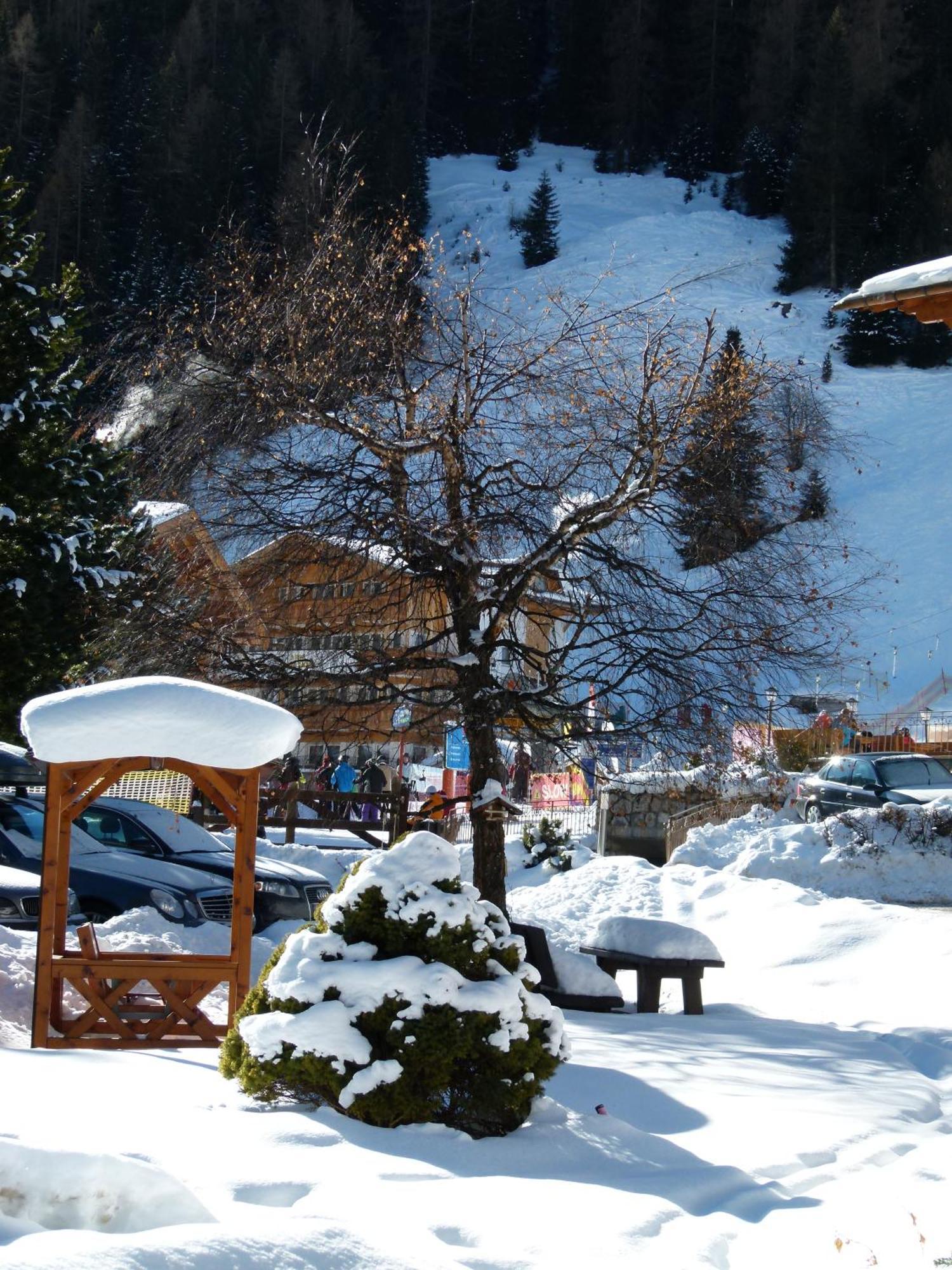 Chalet Elisabeth Dolomites Alpin & Charme 셀바디발가르디나 외부 사진