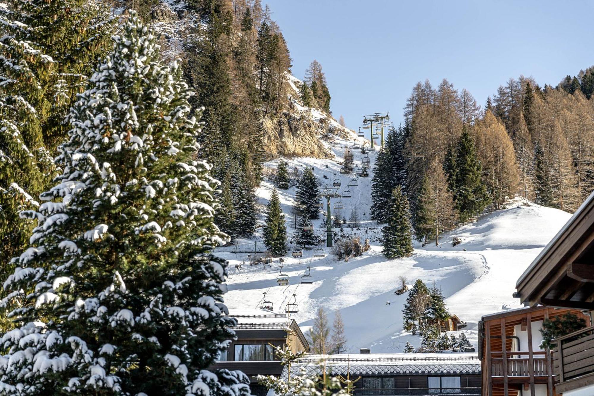 Chalet Elisabeth Dolomites Alpin & Charme 셀바디발가르디나 외부 사진